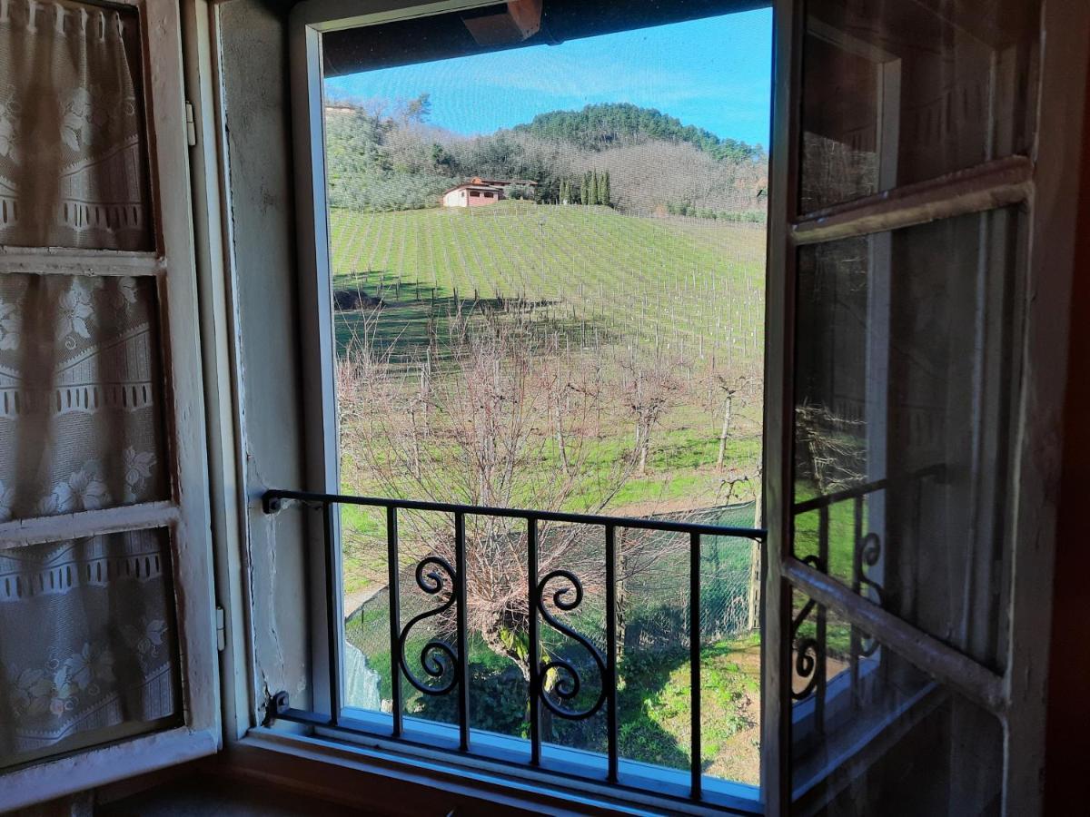 Agriturismo Tenuta Adamo Lucca Eksteriør bilde