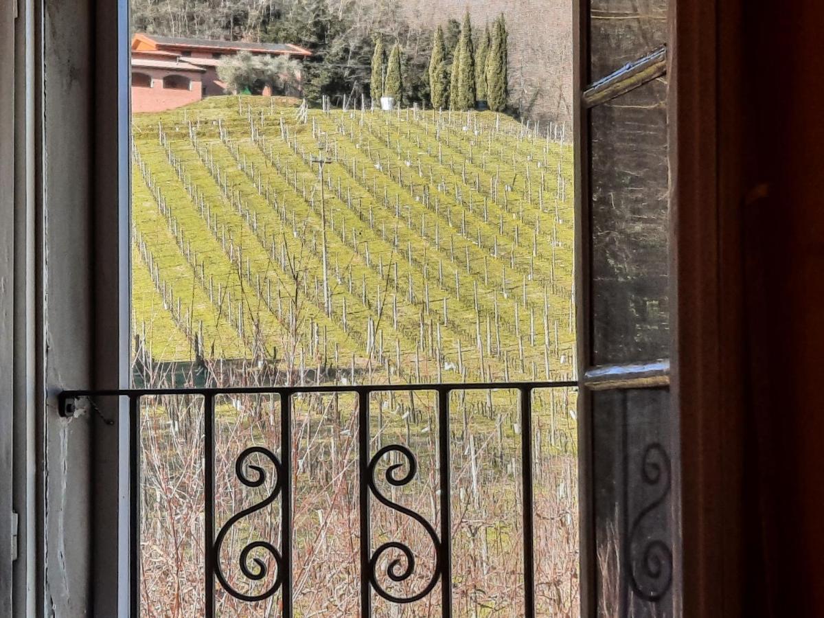 Agriturismo Tenuta Adamo Lucca Eksteriør bilde