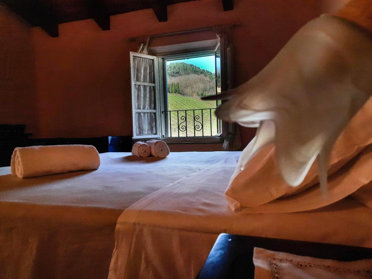 Agriturismo Tenuta Adamo Lucca Eksteriør bilde